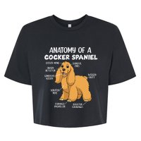 Anatomy Of A Cocker Spaniel funny pet lover Bella+Canvas Jersey Crop Tee