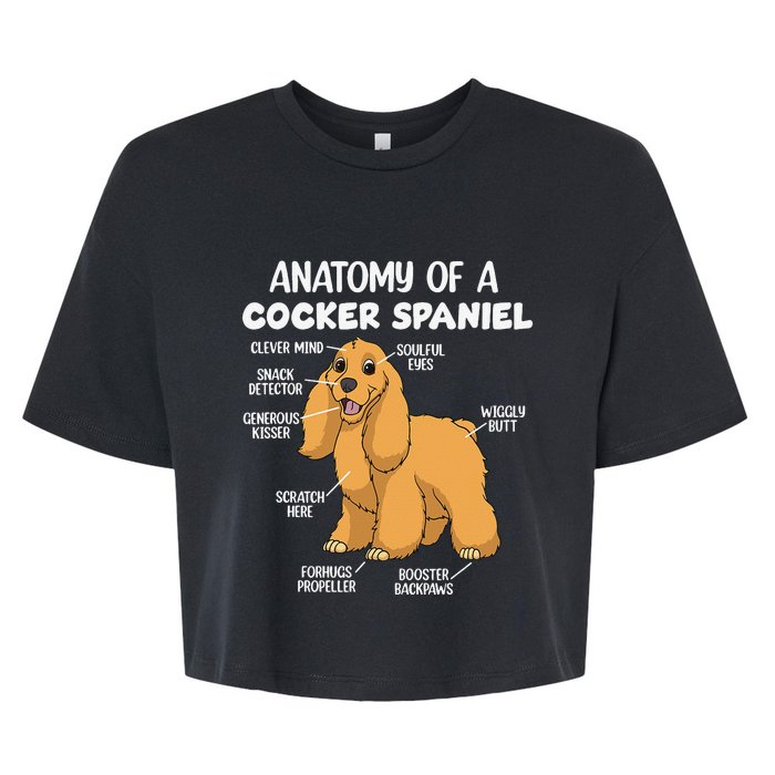 Anatomy Of A Cocker Spaniel funny pet lover Bella+Canvas Jersey Crop Tee