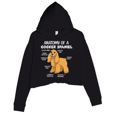 Anatomy Of A Cocker Spaniel funny pet lover Crop Fleece Hoodie