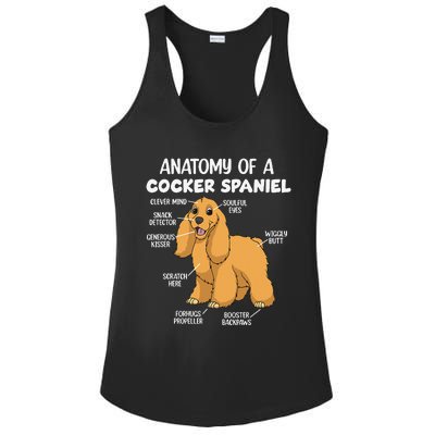 Anatomy Of A Cocker Spaniel funny pet lover Ladies PosiCharge Competitor Racerback Tank