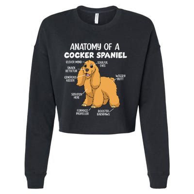 Anatomy Of A Cocker Spaniel funny pet lover Cropped Pullover Crew