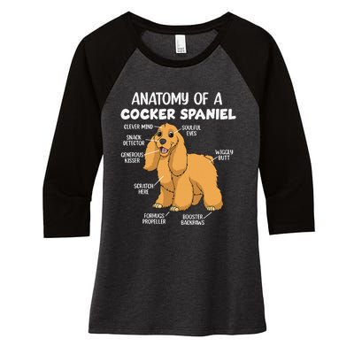 Anatomy Of A Cocker Spaniel funny pet lover Women's Tri-Blend 3/4-Sleeve Raglan Shirt