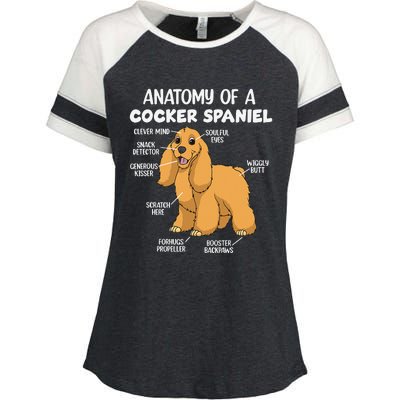 Anatomy Of A Cocker Spaniel funny pet lover Enza Ladies Jersey Colorblock Tee