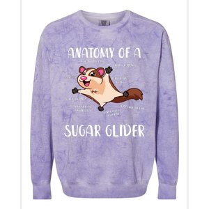 Anatomy Of A Sugar Glider Funny Cute Sugar Glider Gift Colorblast Crewneck Sweatshirt