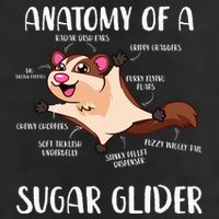 Anatomy Of A Sugar Glider Funny Cute Sugar Glider Gift 7 Panel Mesh Trucker Snapback Hat