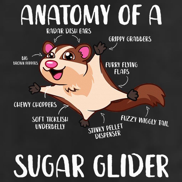 Anatomy Of A Sugar Glider Funny Cute Sugar Glider Gift 7 Panel Mesh Trucker Snapback Hat