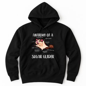 Anatomy Of A Sugar Glider Funny Cute Sugar Glider Gift Hoodie