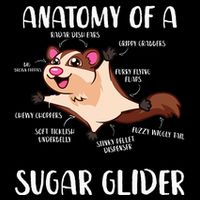Anatomy Of A Sugar Glider Funny Cute Sugar Glider Gift City Backpack