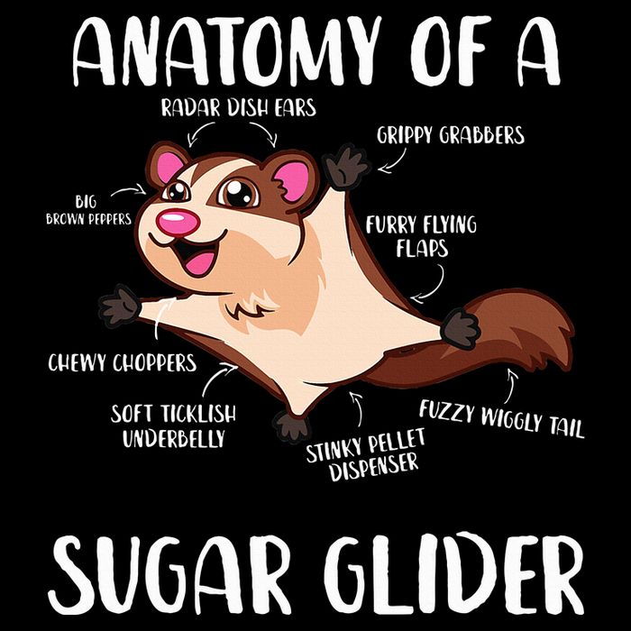 Anatomy Of A Sugar Glider Funny Cute Sugar Glider Gift City Backpack