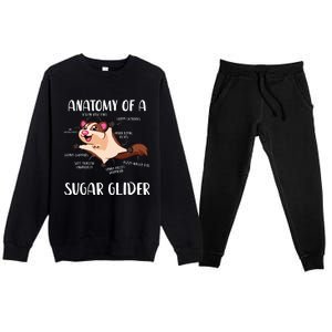 Anatomy Of A Sugar Glider Funny Cute Sugar Glider Gift Premium Crewneck Sweatsuit Set