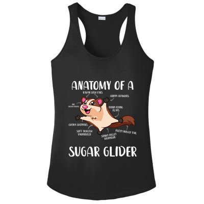 Anatomy Of A Sugar Glider Funny Cute Sugar Glider Gift Ladies PosiCharge Competitor Racerback Tank