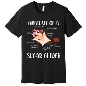 Anatomy Of A Sugar Glider Funny Cute Sugar Glider Gift Premium T-Shirt