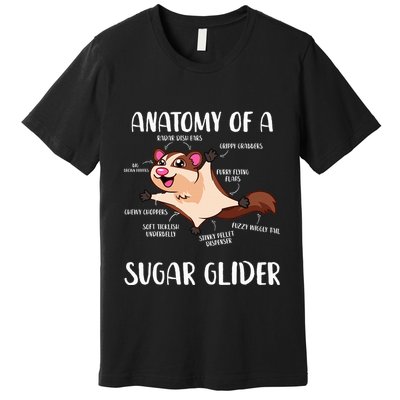 Anatomy Of A Sugar Glider Funny Cute Sugar Glider Gift Premium T-Shirt