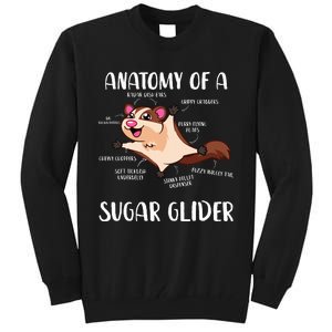 Anatomy Of A Sugar Glider Funny Cute Sugar Glider Gift Tall Sweatshirt