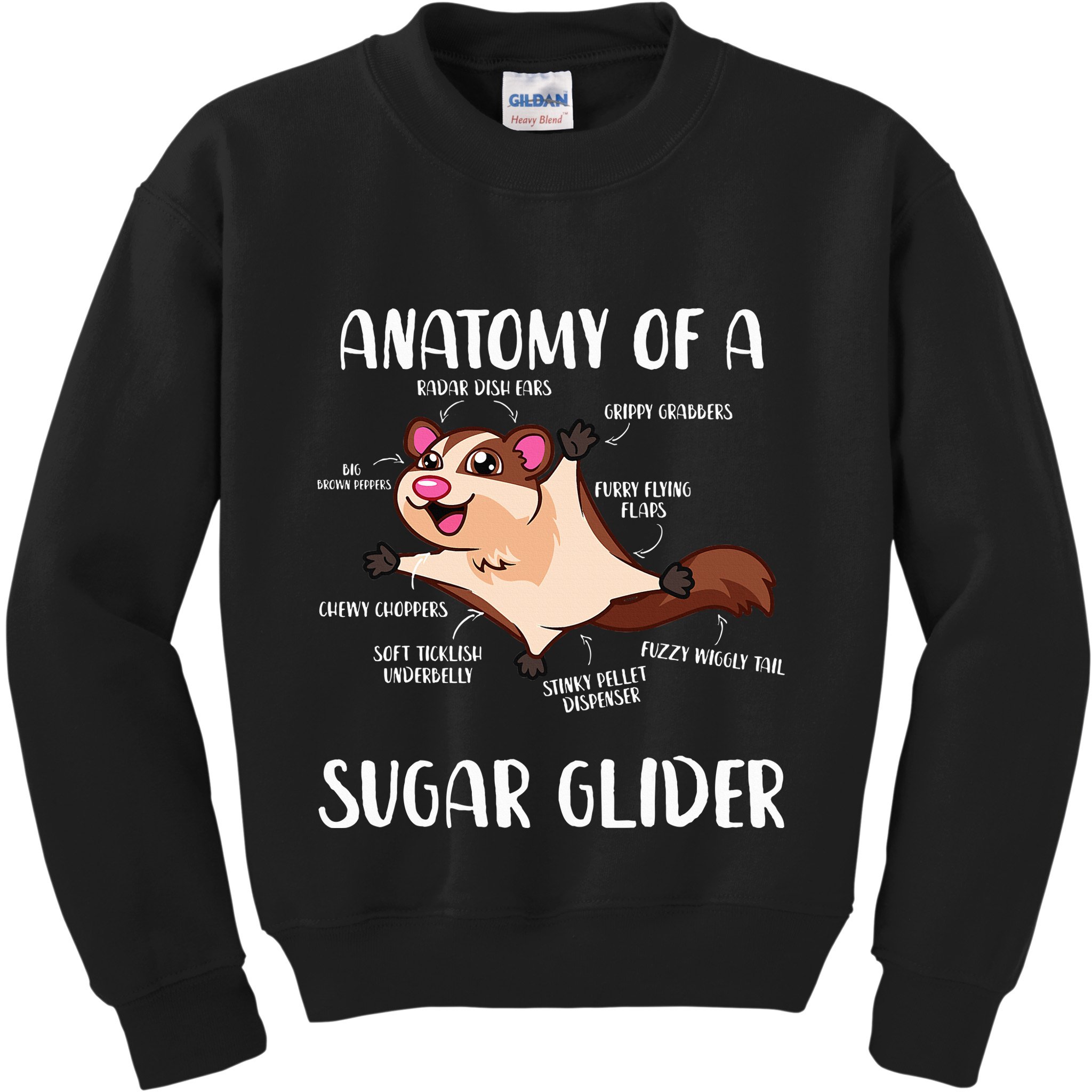 Anatomy Of A Sugar Glider Funny Cute Sugar Glider Gift Kids Sweatshirt