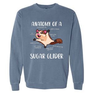 Anatomy Of A Sugar Glider Funny Cute Sugar Glider Gift Garment-Dyed Sweatshirt