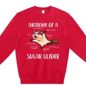 Anatomy Of A Sugar Glider Funny Cute Sugar Glider Gift Premium Crewneck Sweatshirt