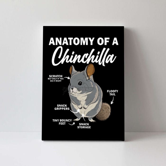 Anatomy Of A Chinchilla For Women Chinchilla Mom Funny Canvas