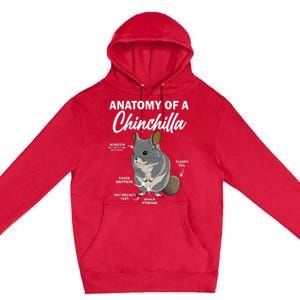 Anatomy Of A Chinchilla For Women Chinchilla Mom Funny Premium Pullover Hoodie