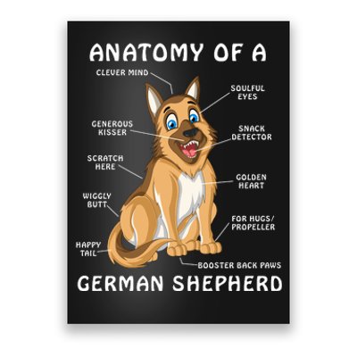 Anatomy Of A German Shepherd Poster