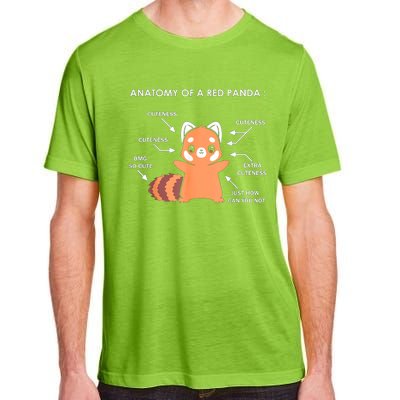 Anatomy Of A Red Panda Science Zoologist Red Panda Anatomy Gift Adult ChromaSoft Performance T-Shirt