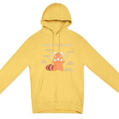 Anatomy Of A Red Panda Science Zoologist Red Panda Anatomy Gift Premium Pullover Hoodie