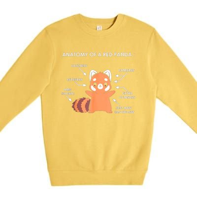 Anatomy Of A Red Panda Science Zoologist Red Panda Anatomy Gift Premium Crewneck Sweatshirt