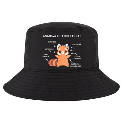 Anatomy Of A Red Panda Science Zoologist Red Panda Anatomy Gift Cool Comfort Performance Bucket Hat