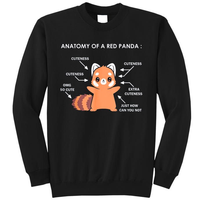 Anatomy Of A Red Panda Science Zoologist Red Panda Anatomy Gift Sweatshirt