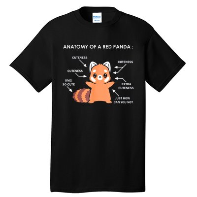 Anatomy Of A Red Panda Science Zoologist Red Panda Anatomy Gift Tall T-Shirt