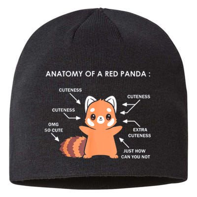 Anatomy Of A Red Panda Science Zoologist Red Panda Anatomy Gift Sustainable Beanie