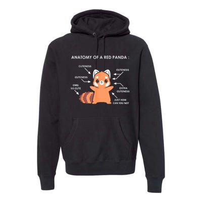 Anatomy Of A Red Panda Science Zoologist Red Panda Anatomy Gift Premium Hoodie