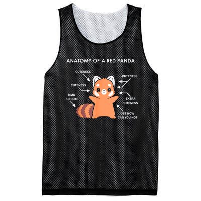 Anatomy Of A Red Panda Science Zoologist Red Panda Anatomy Gift Mesh Reversible Basketball Jersey Tank