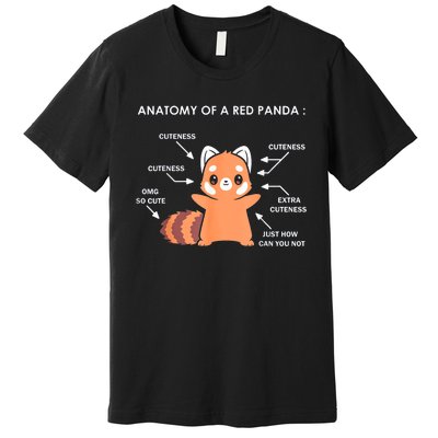 Anatomy Of A Red Panda Science Zoologist Red Panda Anatomy Gift Premium T-Shirt