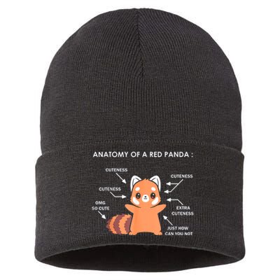 Anatomy Of A Red Panda Science Zoologist Red Panda Anatomy Gift Sustainable Knit Beanie