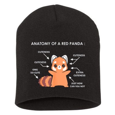 Anatomy Of A Red Panda Science Zoologist Red Panda Anatomy Gift Short Acrylic Beanie