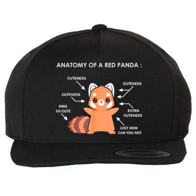 Anatomy Of A Red Panda Science Zoologist Red Panda Anatomy Gift Wool Snapback Cap