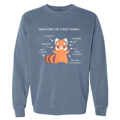 Anatomy Of A Red Panda Science Zoologist Red Panda Anatomy Gift Garment-Dyed Sweatshirt