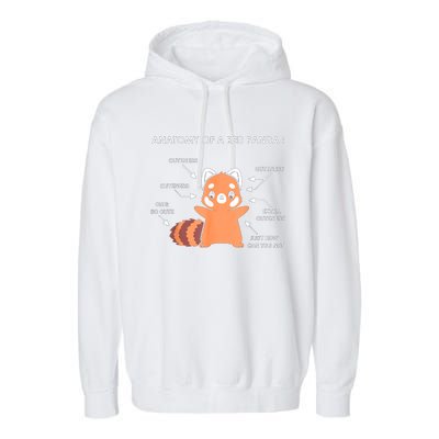 Anatomy Of A Red Panda Science Zoologist Red Panda Anatomy Gift Garment-Dyed Fleece Hoodie