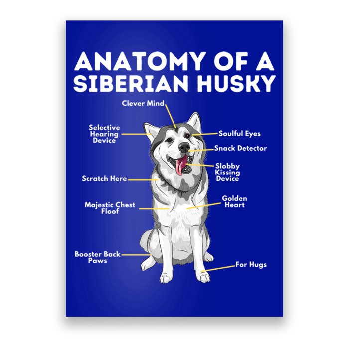 Anatomy Of A Siberian Husky Cool Gift Funny Sibe Owner Dog Lover Gift Poster