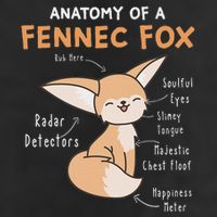 Anatomy Of A Fennec Fox Cute Fox Lover Gift Fennec Fox Adult Drive Performance Visor