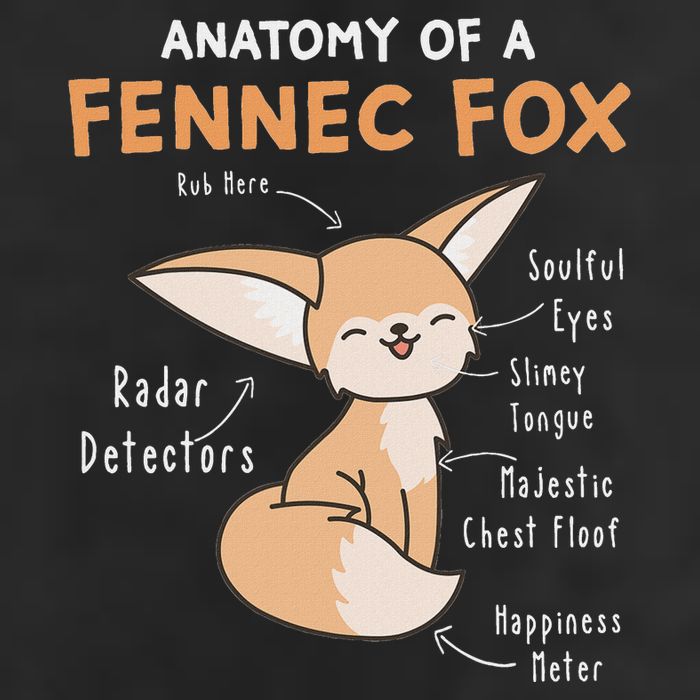 Anatomy Of A Fennec Fox Cute Fox Lover Gift Fennec Fox Large Microfiber Waffle Golf Towel