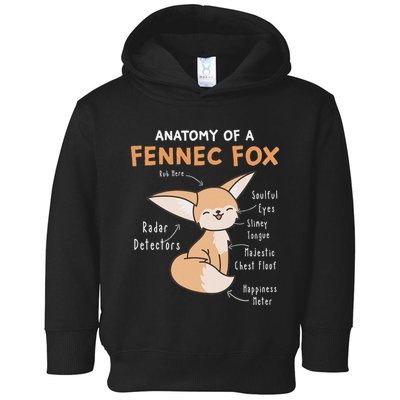 Anatomy Of A Fennec Fox Cute Fox Lover Gift Fennec Fox Toddler Hoodie