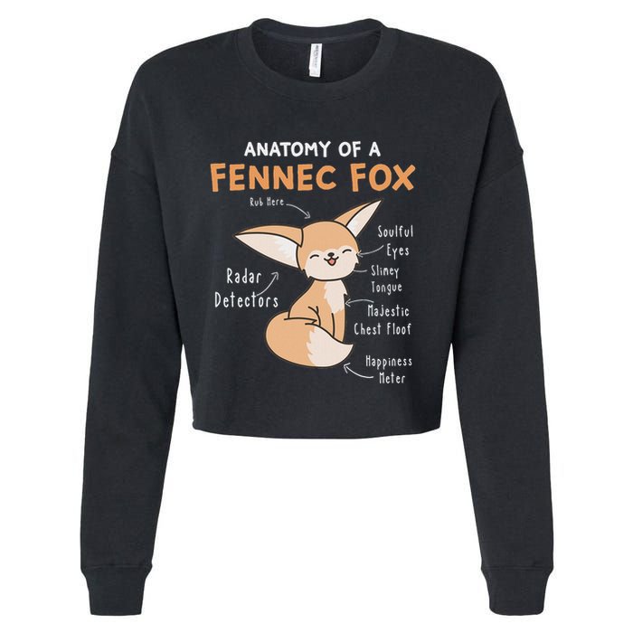 Anatomy Of A Fennec Fox Cute Fox Lover Gift Fennec Fox Cropped Pullover Crew