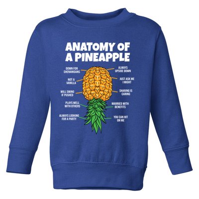 Anatomy Of A Pineapple Swinger Funny Upside Down Pineapple Great Gift Toddler Sweatshirt