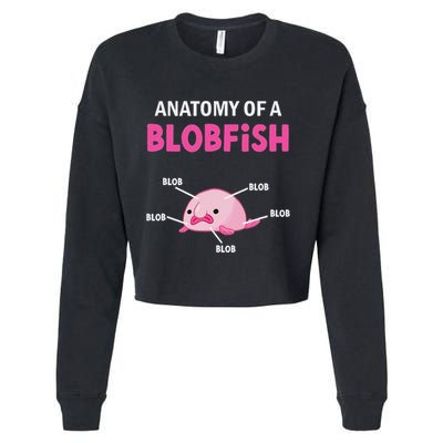 Anatomy Of A Blobish Ugly Blob Fish Cropped Pullover Crew