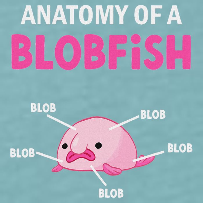 Anatomy Of A Blobish Ugly Blob Fish Sueded Cloud Jersey T-Shirt