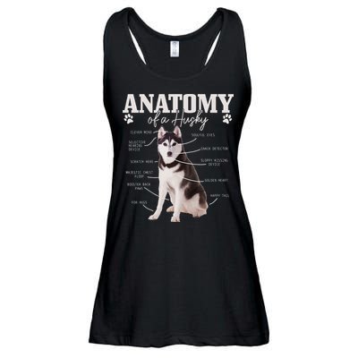 Anatomy Of A Siberian Husky Funny Cute Dog Husky Mom Dad Ladies Essential Flowy Tank