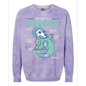 Anatomy Of A Dragon, Funny Dragon Shirt Boys Colorblast Crewneck Sweatshirt