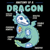 Anatomy Of A Dragon, Funny Dragon Shirt Boys Cooling Performance Crew T-Shirt